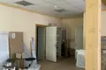 Propriété commerciale 34 m² à Navahroudak, Bélarus