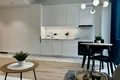 Appartement 1 chambre 33 m² en Varsovie, Pologne