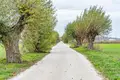 Land 3 788 m² Niepruszewo, Poland