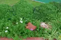 Dzielnica mieszkaniowa Beautiful centric Apartment with large pool close to the beach
