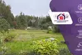 Casa 29 m² Aliachnovicki sielski Saviet, Belarús