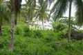 Land  Sabana de la Mar, Dominican Republic