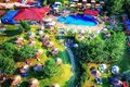 Black Cat Complex - one of kind property