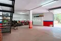 4 bedroom house 229 m² Dos Hermanas, Spain