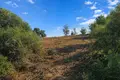 Land 4 483 m² Megali Panagia, Greece