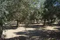 Atterrir 1 chambre  Episkopi, Grèce