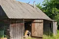 3 bedroom house 104 m² Skabin, Belarus