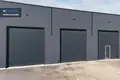 Gewerbefläche 735 m² in Dainos, Litauen