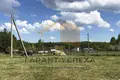 Land  Vielikarycki sielski Saviet, Belarus