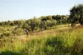 Земельные участки 1 комната  Каландра, Греция