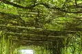 Особняк  Сремски-Карловци, Сербия