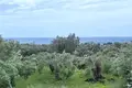 Земельные участки 1 комната  Айос-Маттеос, Греция
