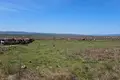 Grundstück  Kosharitsa, Bulgarien