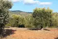 Atterrir 1 chambre  Nikiti, Grèce