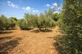 Atterrir 16 728 m² Neos Marmaras, Grèce