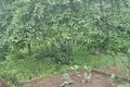 Casa 40 m² Gorodets, Rusia