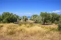 Atterrir 15 000 m² Pefkochori, Grèce