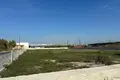 Działki  Bashkia Durres, Albania