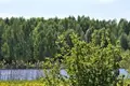 Haus 165 m² Telminski sielski Saviet, Belarus