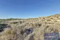 Grundstück 19 618 m² Mutxamel, Spanien