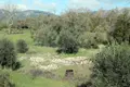 Land 1 room 120 m² Ano Korakiana, Greece