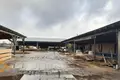 Fabrication 890 m² à Ozyaritska Slabadski rural council, Bélarus