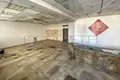 Propriété commerciale 130 m² à Grad Metkovic, Croatie