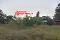 Haus 2 zimmer 47 m² Sapockinski sielski Saviet, Belarus
