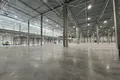 Склад 6 000 м² муниципальный округ Истра, Россия
