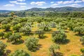 Parcelas 9 312 m² Agios Nikolaos, Grecia