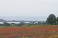 Land  Odesa, Ukraine