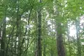 Działki  Odincovskij gorodskoj okrug, Rosja