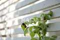 Maison 4 chambres 98 m² Tuusula, Finlande