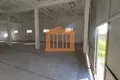 Producción 260 m² en Bashkia Durres, Albania