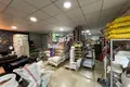 Propiedad comercial 281 m² en Yenisehir, Turquía