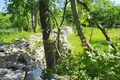 Atterrir 38 000 m² Vodnjan, Croatie