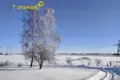 House 31 m² Navasiolkauski sielski Saviet, Belarus