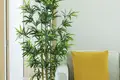 Apartamento 1 habitación 34 m² Kamala, Tailandia
