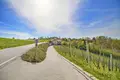 Established business 330 m² in Raka, Slovenia