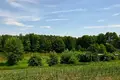 Parcelas 31 500 m² Buszewo, Polonia