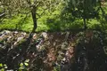 Вилла 4 спальни 200 м² Херцег-Нови, Черногория