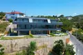 Вилла 5 спален 479 м² Okurcalar, Турция