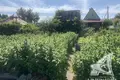 Parcelas  Muchaviecki sielski Saviet, Belarús