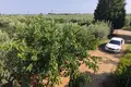 Ferienhaus 3 Schlafzimmer 100 m² Agios Mamas, Griechenland