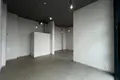 Commercial property 55 m² in Minsk, Belarus