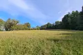 Land 292 822 m² Irenental, Austria