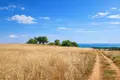 Land 24 000 m² Nea Triglia, Greece