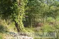 Grundstück  Przno, Montenegro