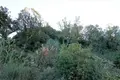 Atterrir 1 chambre  Benítses, Grèce
