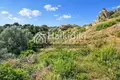 Земельные участки 11 000 м² Амолиани/Амулиани/Амульяни/Аммулияни, Греция
